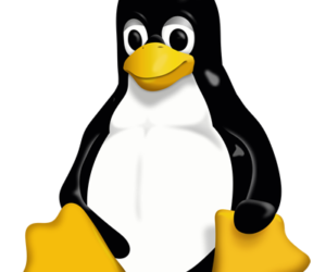 Linux/Mac OS X