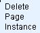 Delete Page Instance